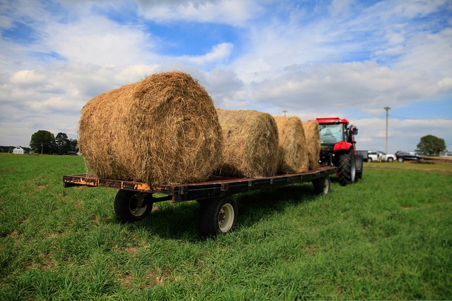 Vendre annonces de service